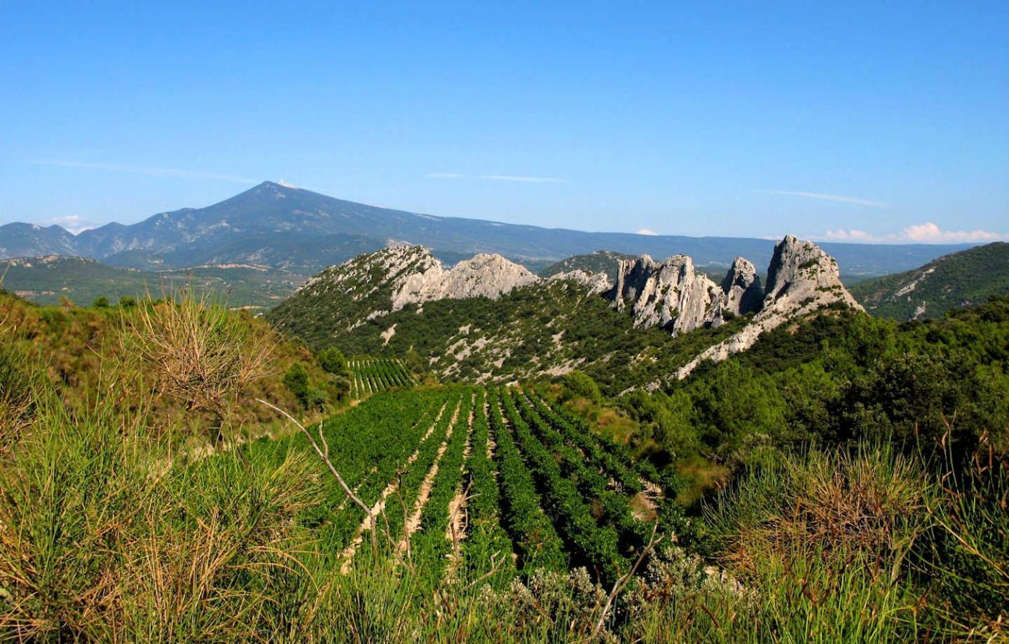 Masqueyras Villa Vacqueyras Buitenkant foto