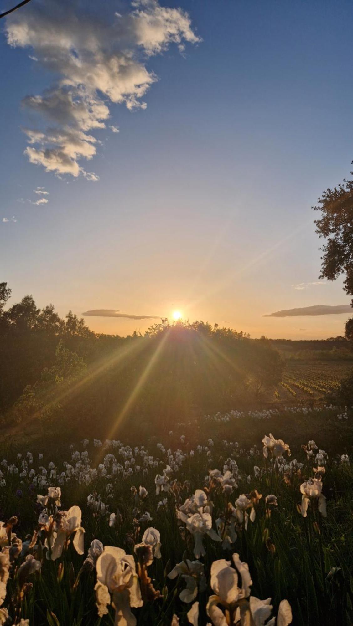 Masqueyras Villa Vacqueyras Buitenkant foto