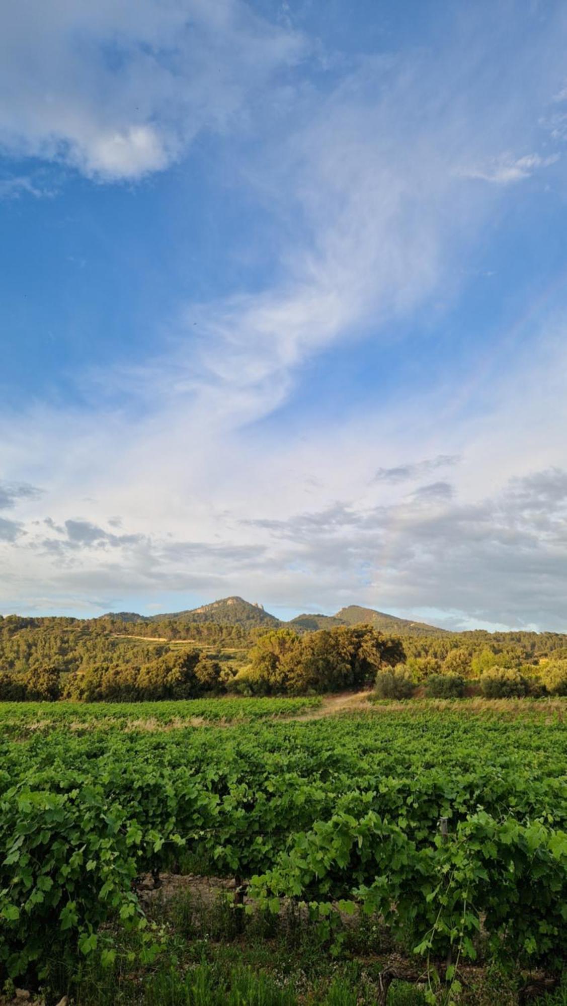 Masqueyras Villa Vacqueyras Buitenkant foto